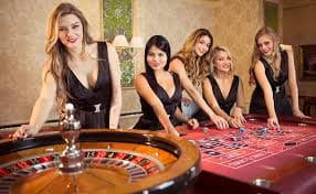 155bet cassino